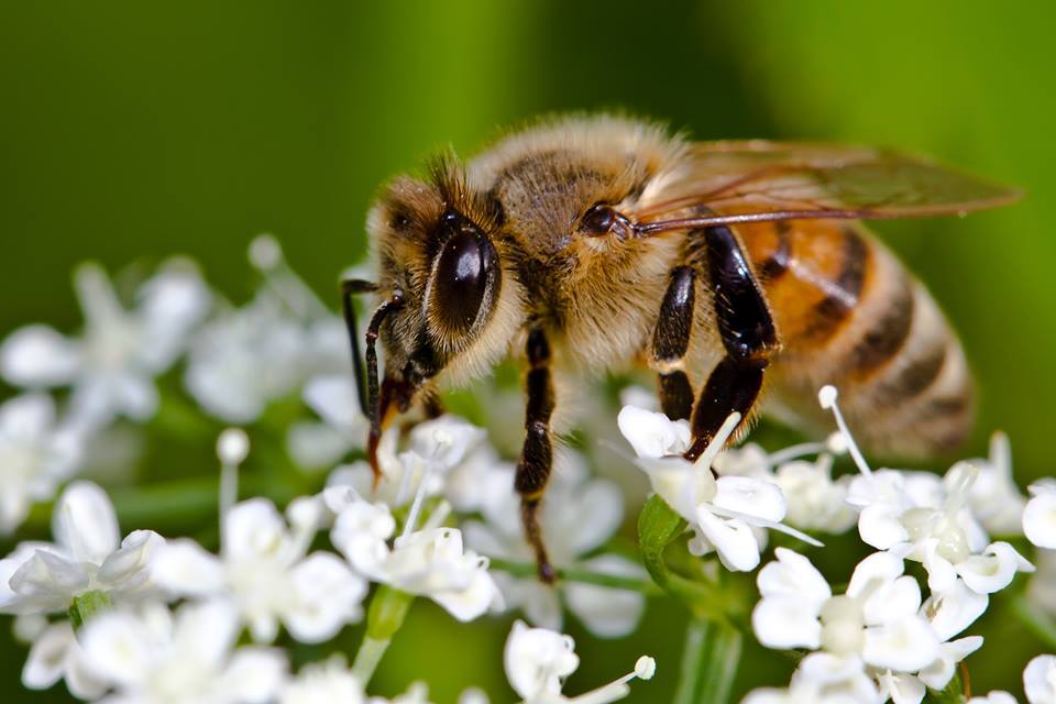 1479482 10201822121488712 1084866696 n