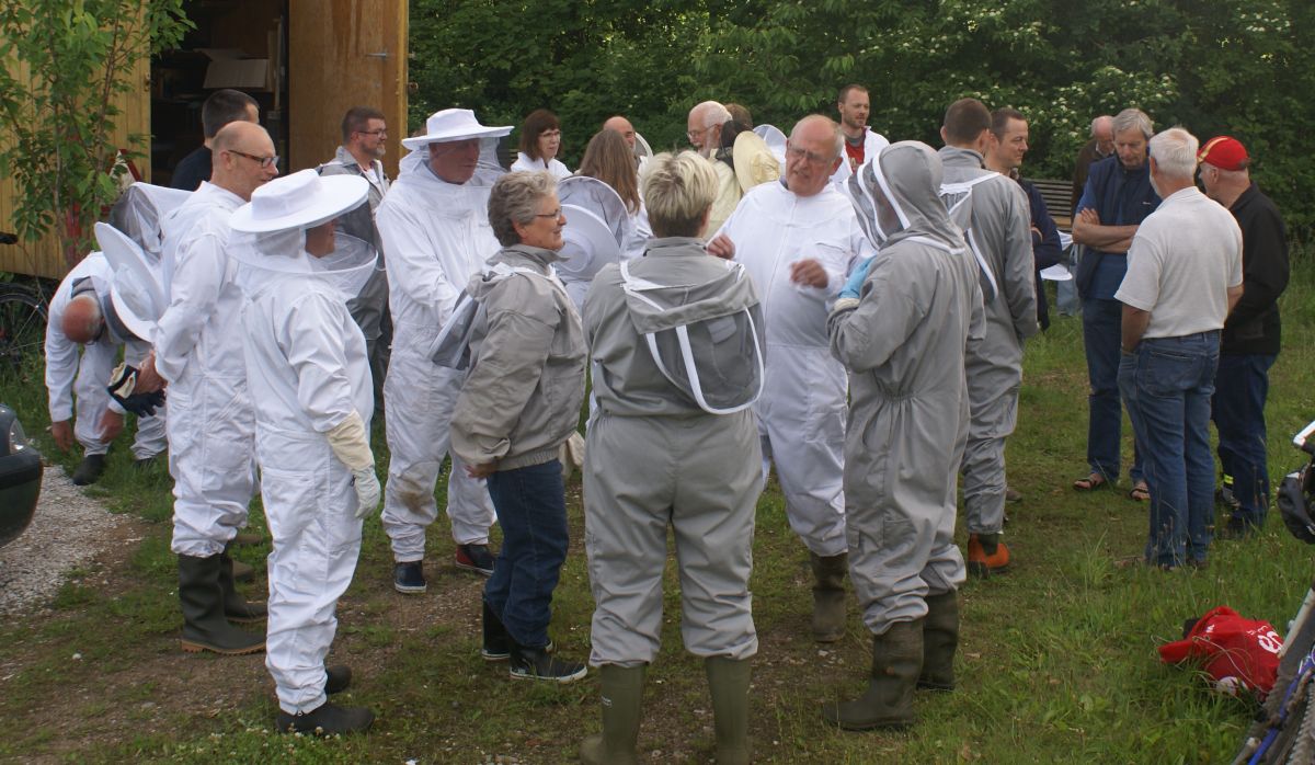 Begyndere i biskolegaarden 2 1200p 25 6 13