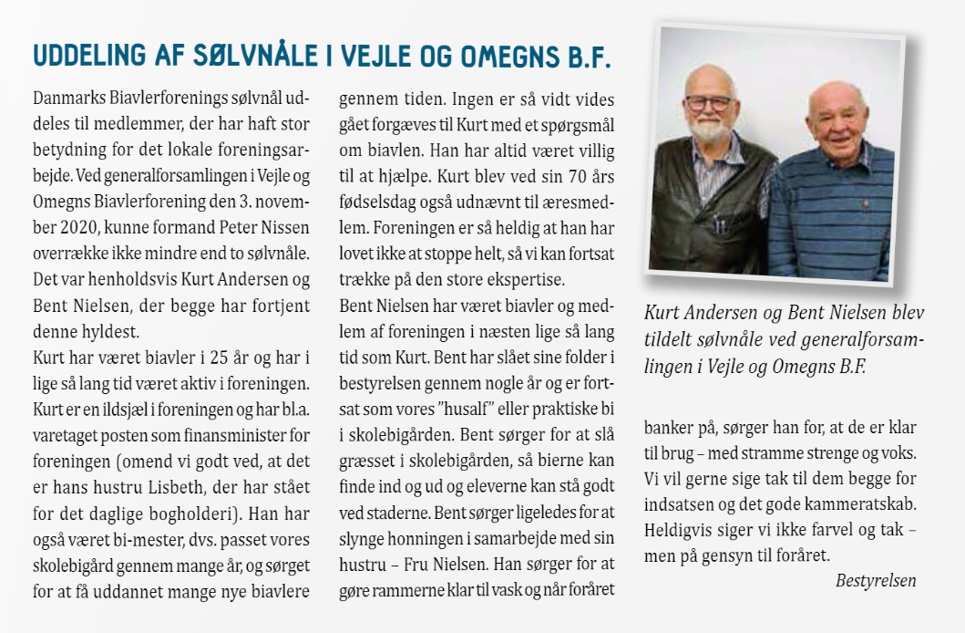 Sølvnåle 2020